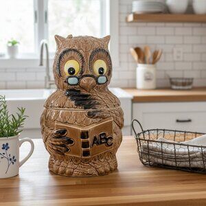 Vintage Owl Cookie Jar Retro Pottery Kitchen Canister Wise Owl Teacher Gift